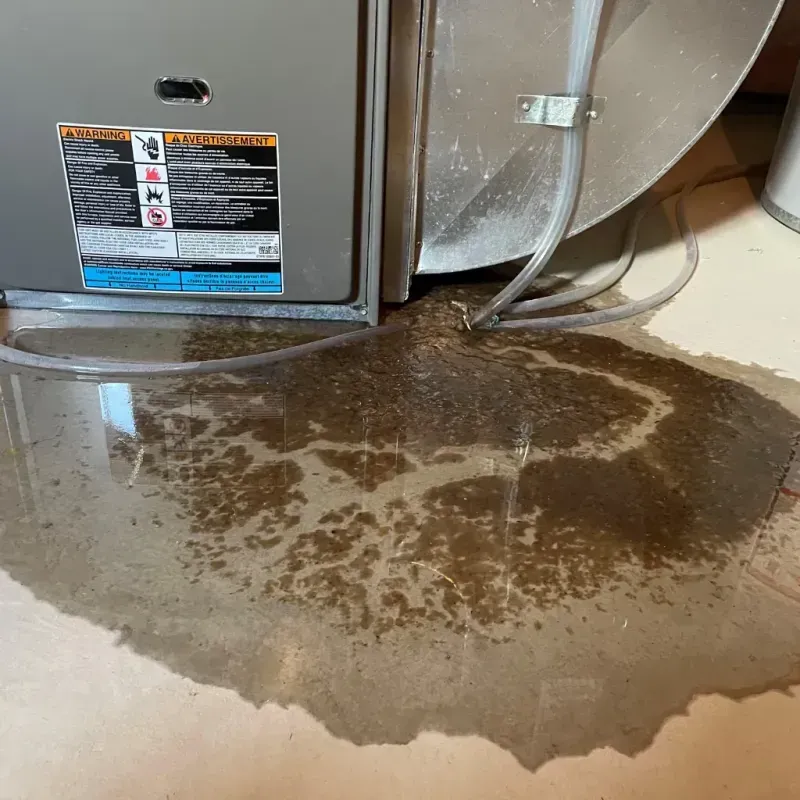 Appliance Leak Cleanup in Bonsall, CA